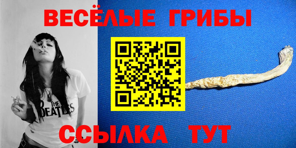 Псилоцибиновые грибы Psilocybine cubensis Азов